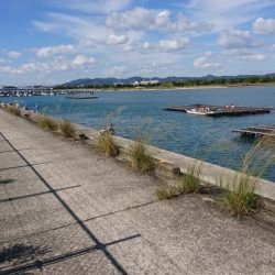 終わりのキス・・・そしてハゼ